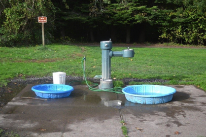 Water features at the off-leash dog exercise area